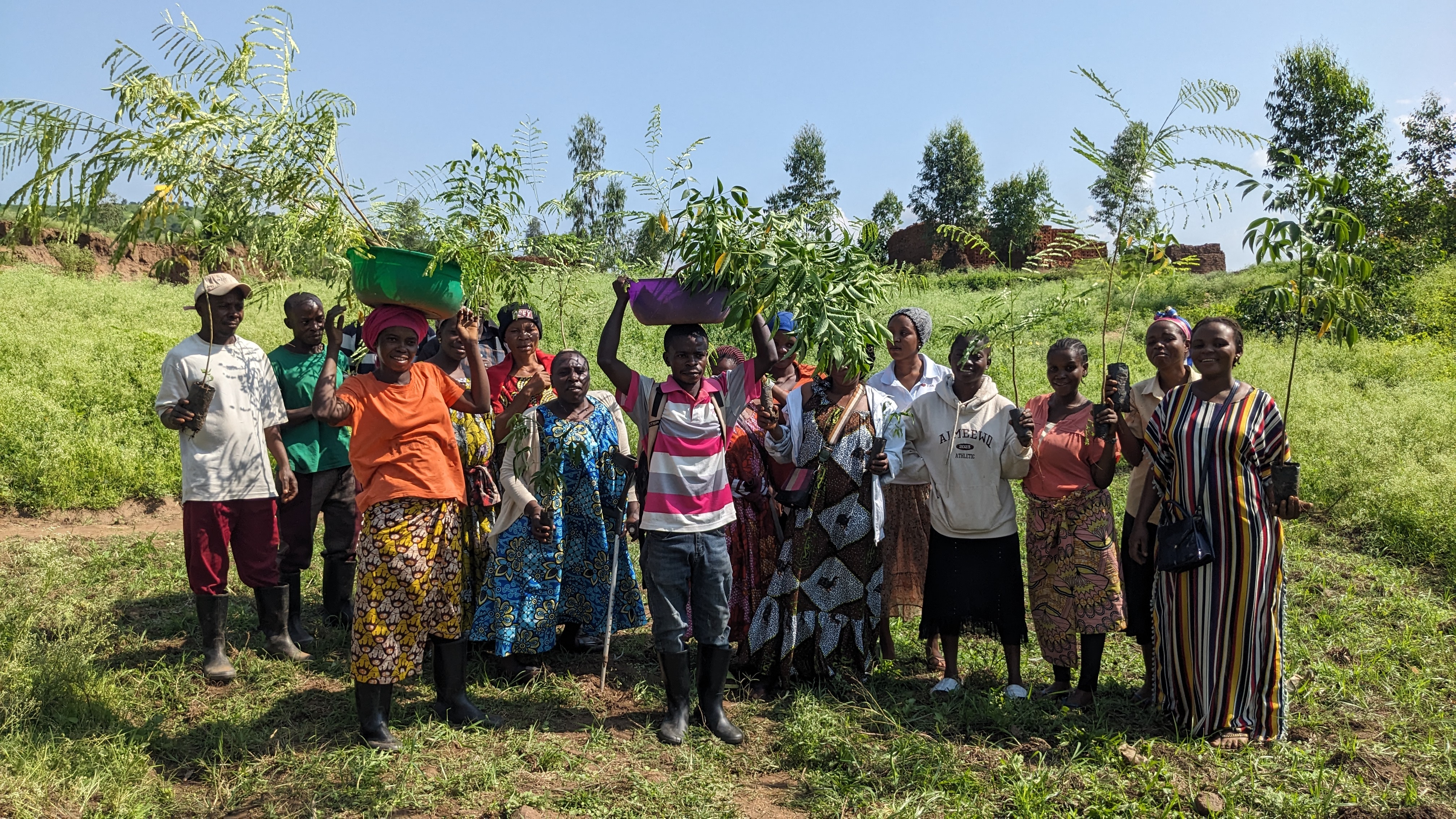 Plateaux des Batéké : CCAO restaure 687 hectares de forêts et crée 100 emplois verts aux portes de Kinshasa      